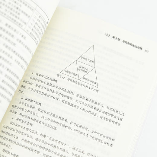 人才梯队建设与人才培养（第2版）人才盘点培养战略管理培优体系岗位胜任能力员工激励书籍 商品图1