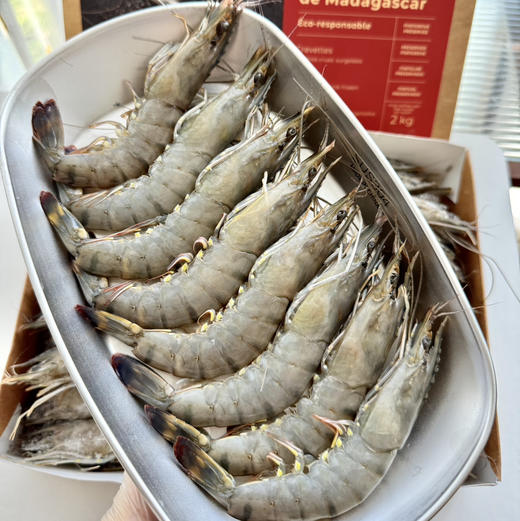 马达加斯加海虎虾顺丰快递运费到付 商品图2