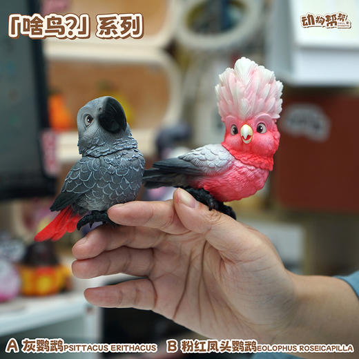 灰鹦鹉&粉红凤头鹦鹉  啥鸟系列④ 模型摆件 鸟类周边潮玩 ★动物帮帮 官方正品【48小时发货】 商品图1