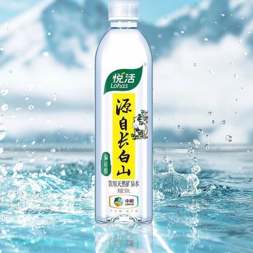 中粮悦活天然长白山饮用水矿泉水500ml 商品图1