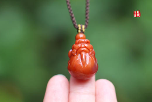 南红貔貅吊坠【貔貅献宝】，配精美挂绳 商品图6