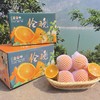 伦晚脐橙丨产地：湖北，3-6月份主推脐橙，脐橙皮薄多汁、香味浓郁、九甜一酸⭐️顺丰快递 商品缩略图5