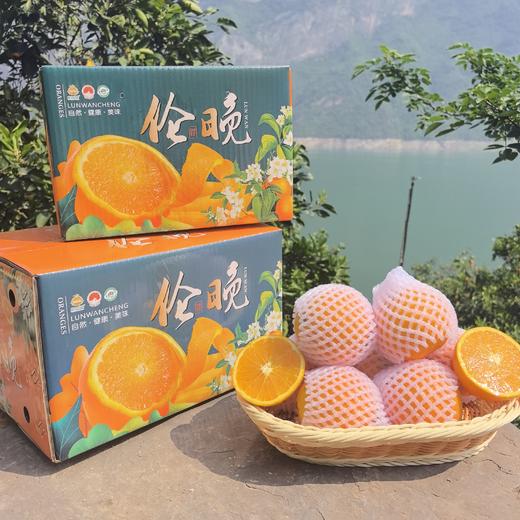 伦晚脐橙丨产地：湖北，3-6月份主推脐橙，脐橙皮薄多汁、香味浓郁、九甜一酸⭐️顺丰快递 商品图5