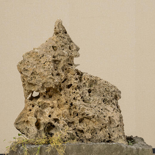 清	昆石赏石及石盆 商品图2