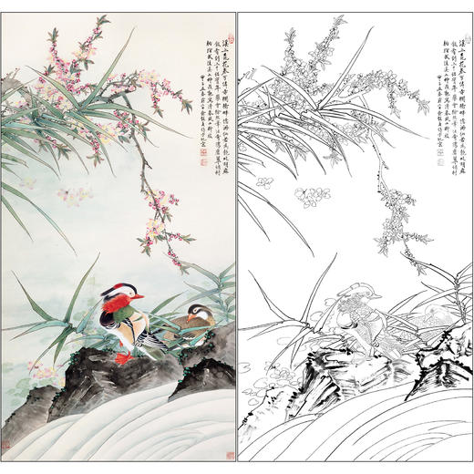 俞致贞花鸟工笔画白描底稿《桃花鸳鸯》临摹勾线高清打印稿ZZ78 商品图0