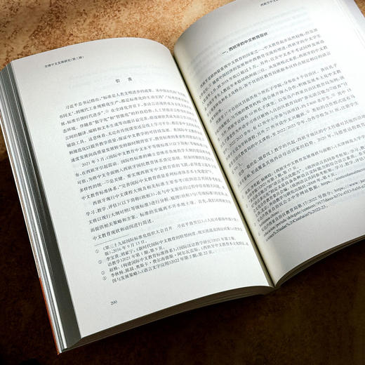 中文的本土与国际探索 全球中文发展研究 第三辑 商品图13