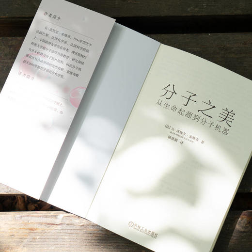 分子之美 从生命起源到分子机器 商品图2