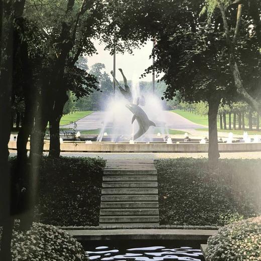 水上花园图集 267幅插图（174幅彩色） 精装16开 商品图13