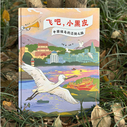 飞吧，小黑皮：中国候鸟的迁徙之路 商品图1