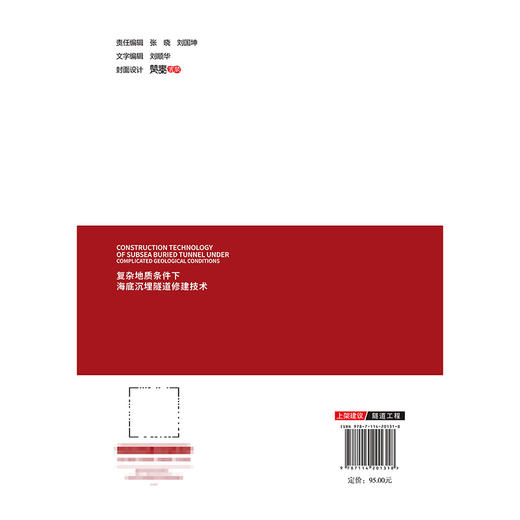 复杂地质条件下海底沉埋隧道修建技术 商品图1