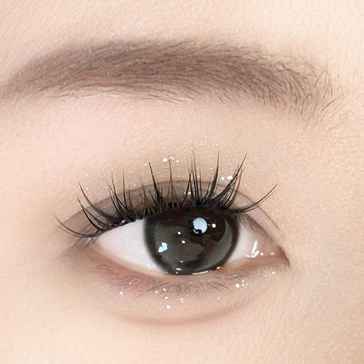 Sondercon品牌-小黑茶Plus 商品图4