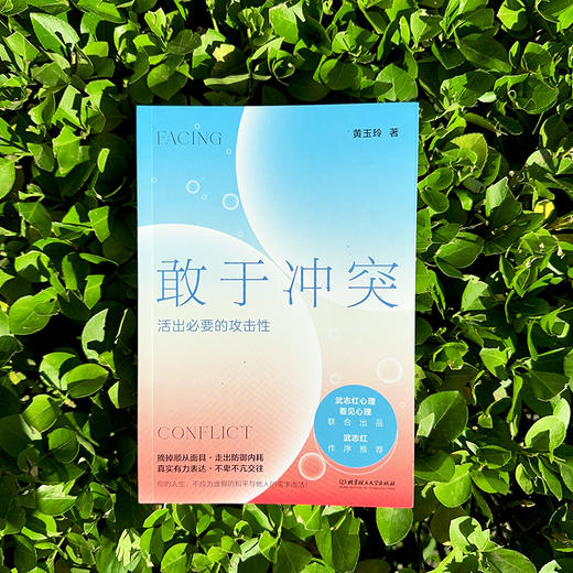 敢于冲突：活出必要的攻击性 商品图4