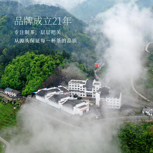 秭归 九畹丝绵茶 工夫红茶-丝鸿60g/盒 商品图3