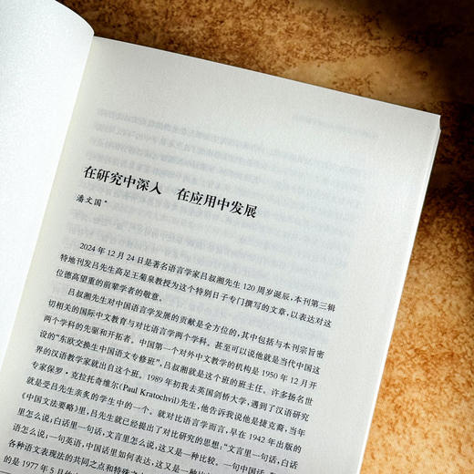 中文的本土与国际探索 全球中文发展研究 第三辑 商品图7