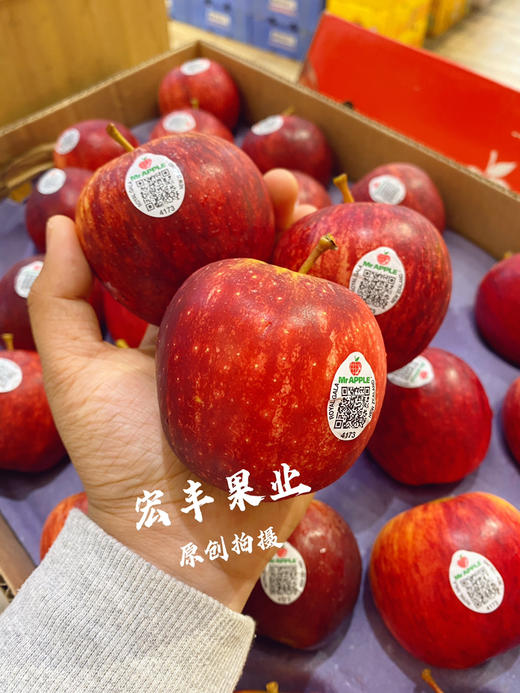 【宏丰精选】新西兰加力果  皇室嘎啦果记忆之果 酸甜适中多汁  活动价15.8元一斤 商品图8