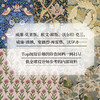 【定制刷边版】世界经典纹样大全 商品缩略图4