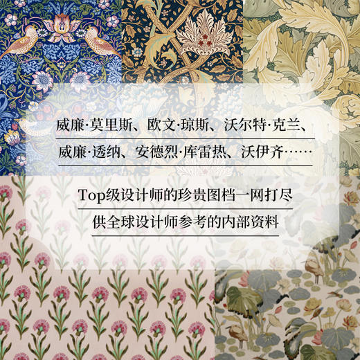 【定制刷边版】世界经典纹样大全 商品图4