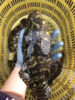& 【龙胆石斑鱼】🐟肉质非常鲜嫩好吃👍💫 性价比最高的石斑鱼类，实惠又好吃活冻 商品缩略图1