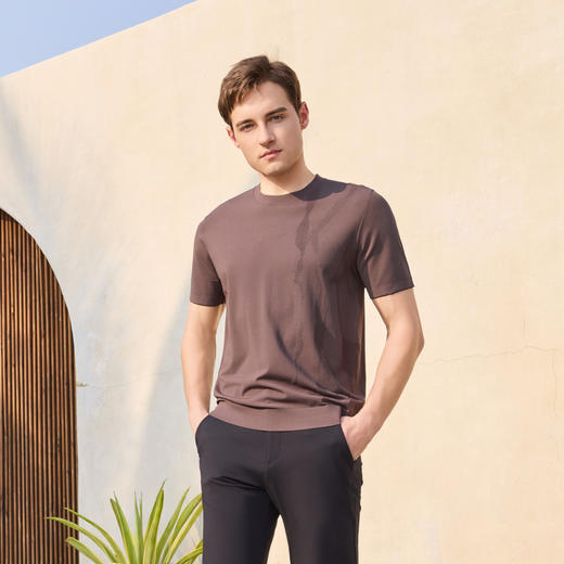 半身缘男装 夏季高端透气舒适凉爽不易皱时尚短袖252112M01112102 商品图4