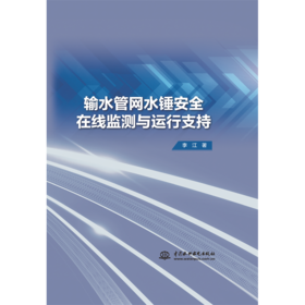 输水管网水锤安全在线监测与运行支持