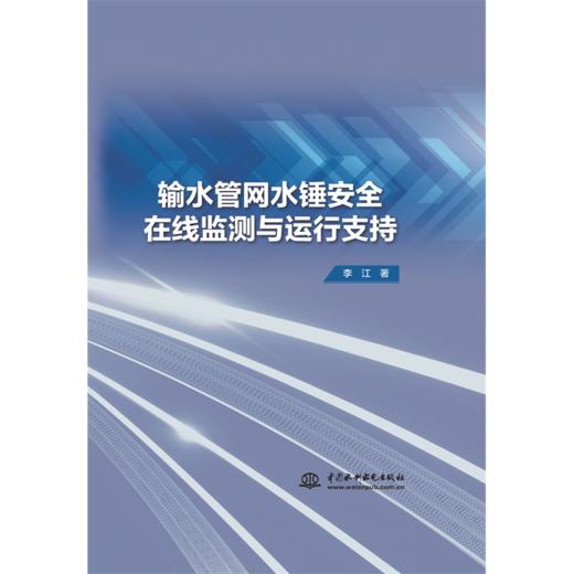 输水管网水锤安全在线监测与运行支持 商品图0