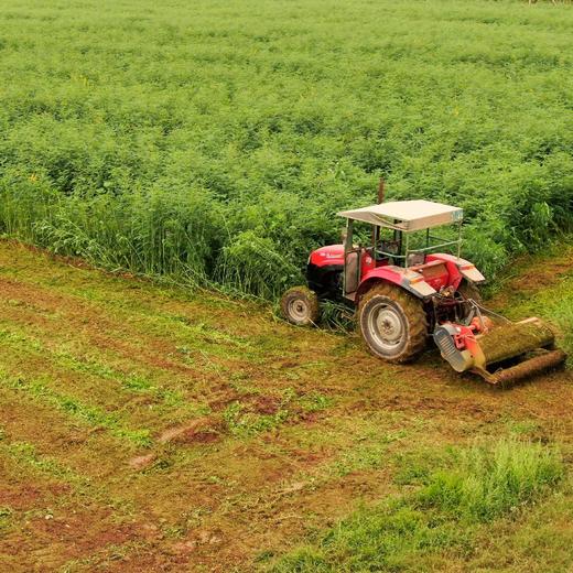 石磨 面粉（小麦粉、全麦粉） 商品图11