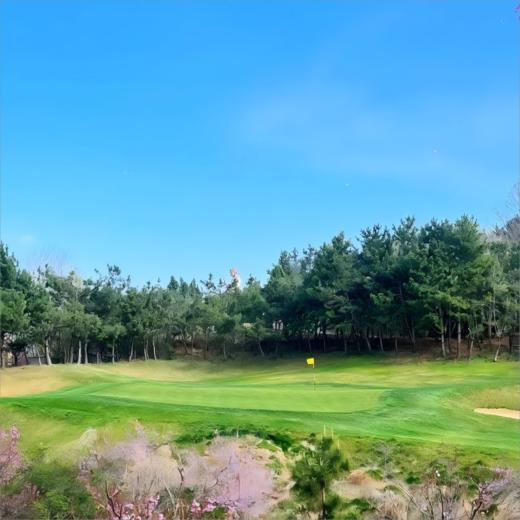 山东南山佛光宝地高尔夫球场 Nanshan Foguang Golf Course of Yantai | 龙口高尔夫球场 | 山东烟台高尔夫球场  | 中国 商品图3