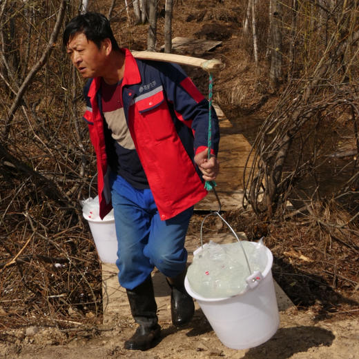 嘉桦纯白桦树汁水饮料有机森林桦树原液植物饮品2.5L盒装(非浓缩)【顺丰发出退货需支付实际拦截费用】 商品图13