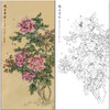 俞致贞花鸟工笔画白描底稿《秾姿贵彩》牡丹临摹勾线高清打印稿ZZ79 商品缩略图0