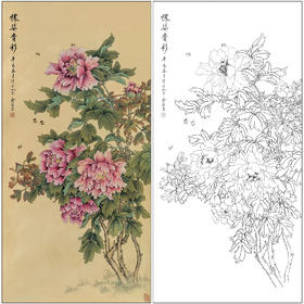 俞致贞花鸟工笔画白描底稿《秾姿贵彩》牡丹临摹勾线高清打印稿ZZ79