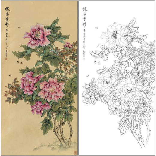 俞致贞花鸟工笔画白描底稿《秾姿贵彩》牡丹临摹勾线高清打印稿ZZ79 商品图0
