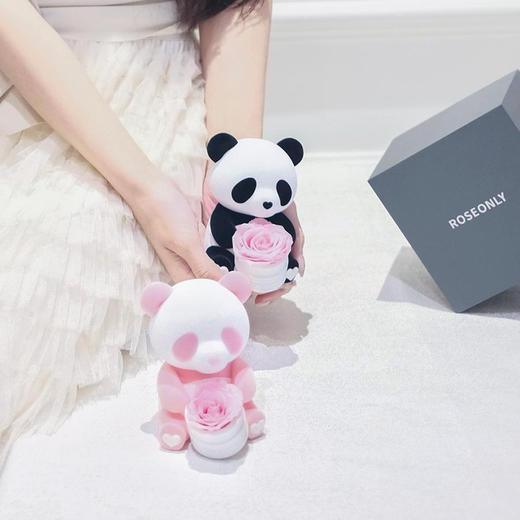 【告白神器】ROSEONLY诺誓 永生玫瑰 公仔系列 爱妮熊猫 粉色 红色 粉白色 送朋友 情人节礼物 商品图1