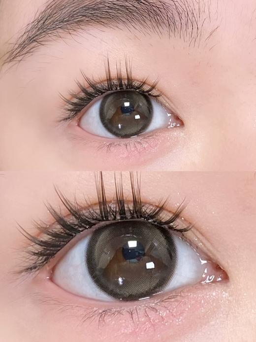 Sondercon品牌-小黑茶Plus 商品图3