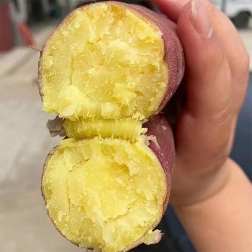 陕西板栗红薯 农家现挖红薯 细腻少筋 软糯香甜 商品图4