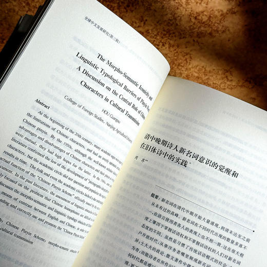 中文的本土与国际探索 全球中文发展研究 第三辑 商品图9