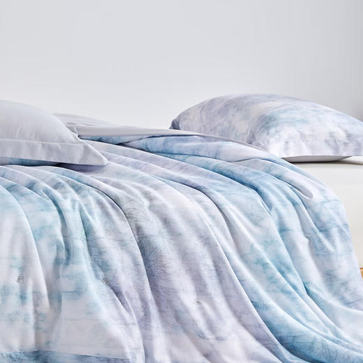 【分仓直发包邮】无印良品奢影3D彩印蚕丝被MJ-B2025-0186 商品图5