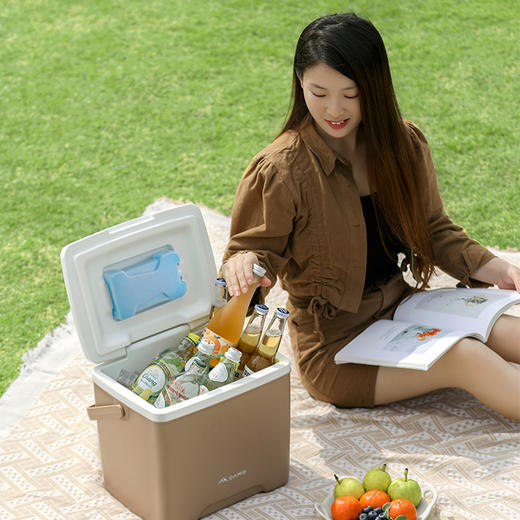 大迈 车载户外保温箱 DM-9006 商品图0