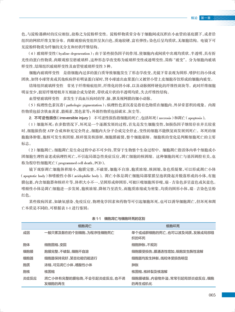 34086(yz) (5).jpg