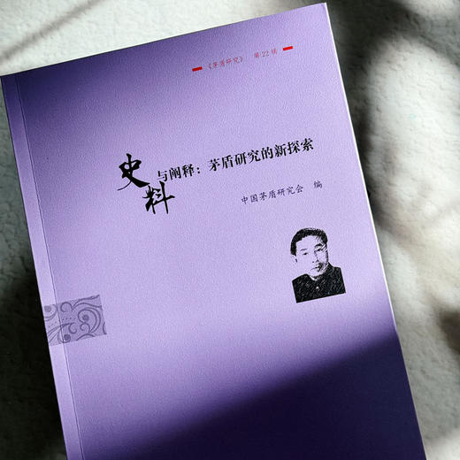 史料与阐释 茅盾研究的新探索 《茅盾研究》第22辑 中国茅盾研究会 商品图4