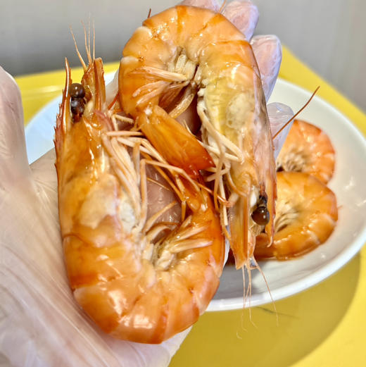 马达加斯加海虎虾顺丰快递运费到付 商品图7