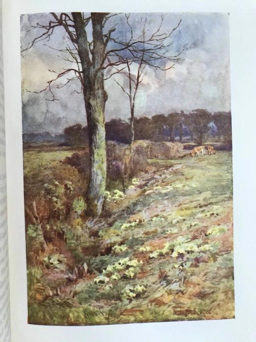 含藏书票！1914年 乡村的一年四季 12幅彩色20幅黑白插图 漆布精装大32开 商品图10