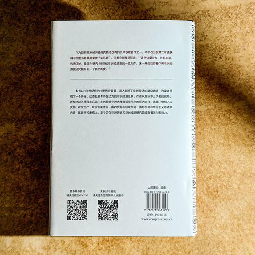 非洲现代经济史 十九世纪 保罗·提杨贝·泽勒扎 非洲历史研究 商品图2