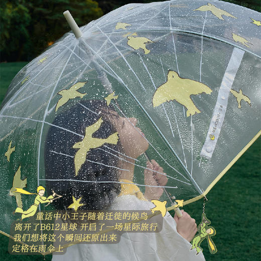 小王子飞鸟伞 原创设计 透明雨伞高颜值礼物 治愈卡通长柄伞加厚加固  果麦文创 商品图1