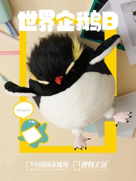 4.25 世界企鹅日