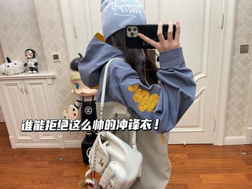 始祖鸟 Alpha SV LNY蛇年限定硬壳冲锋衣外套 男女同款（MG） 商品图12