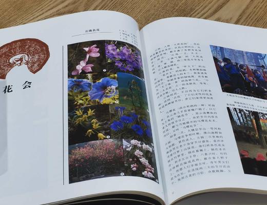 《秘境节祭：云南少数民族年节祭会》，8开，铜版彩印，邓启耀编撰，云南人民出版社1991年版，270多页，定价198，售价38元，品相9成，非偏远地区包邮。 商品图7