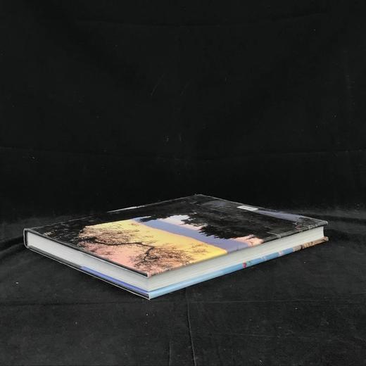 地中海别墅花园图集 数百幅彩色插图 精装大16开 商品图2