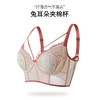 QC-W6191*  兔耳朵法式蕾丝内衣女大胸显小薄款记忆软钢圈防下垂收副乳文胸（单件） 商品缩略图3