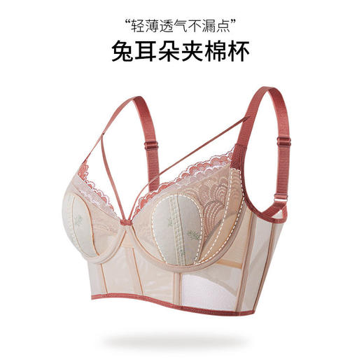 QC-W6191*  兔耳朵法式蕾丝内衣女大胸显小薄款记忆软钢圈防下垂收副乳文胸（单件） 商品图3