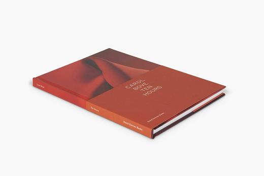 Carol Bove: Ten Hours 卡罗尔·波维：十小时 商品图1